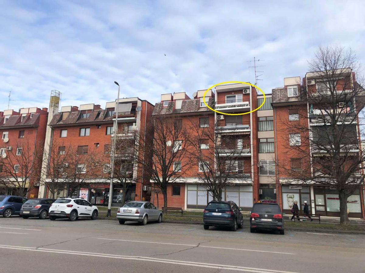 Studio Apartman Mia Жупаня Экстерьер фото